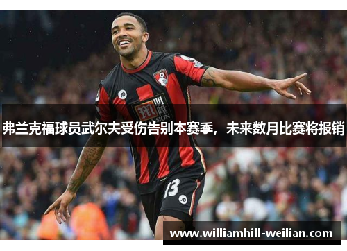 弗兰克福球员武尔夫受伤告别本赛季，未来数月比赛将报销