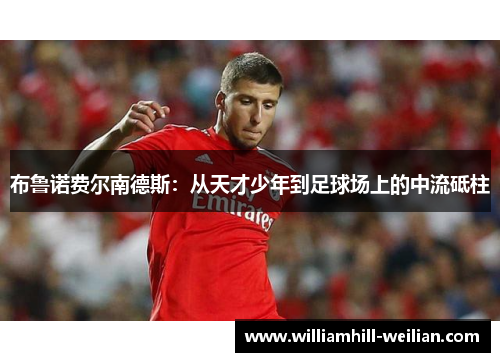 布鲁诺费尔南德斯：从天才少年到足球场上的中流砥柱
