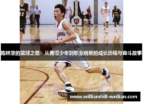 陈林坚的篮球之路：从青涩少年到职业明星的成长历程与奋斗故事